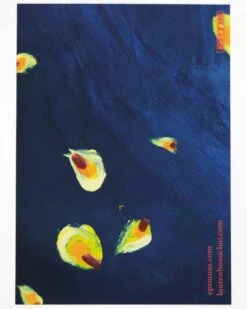 EPTM X LHC STICKER PACK & POSTCARD