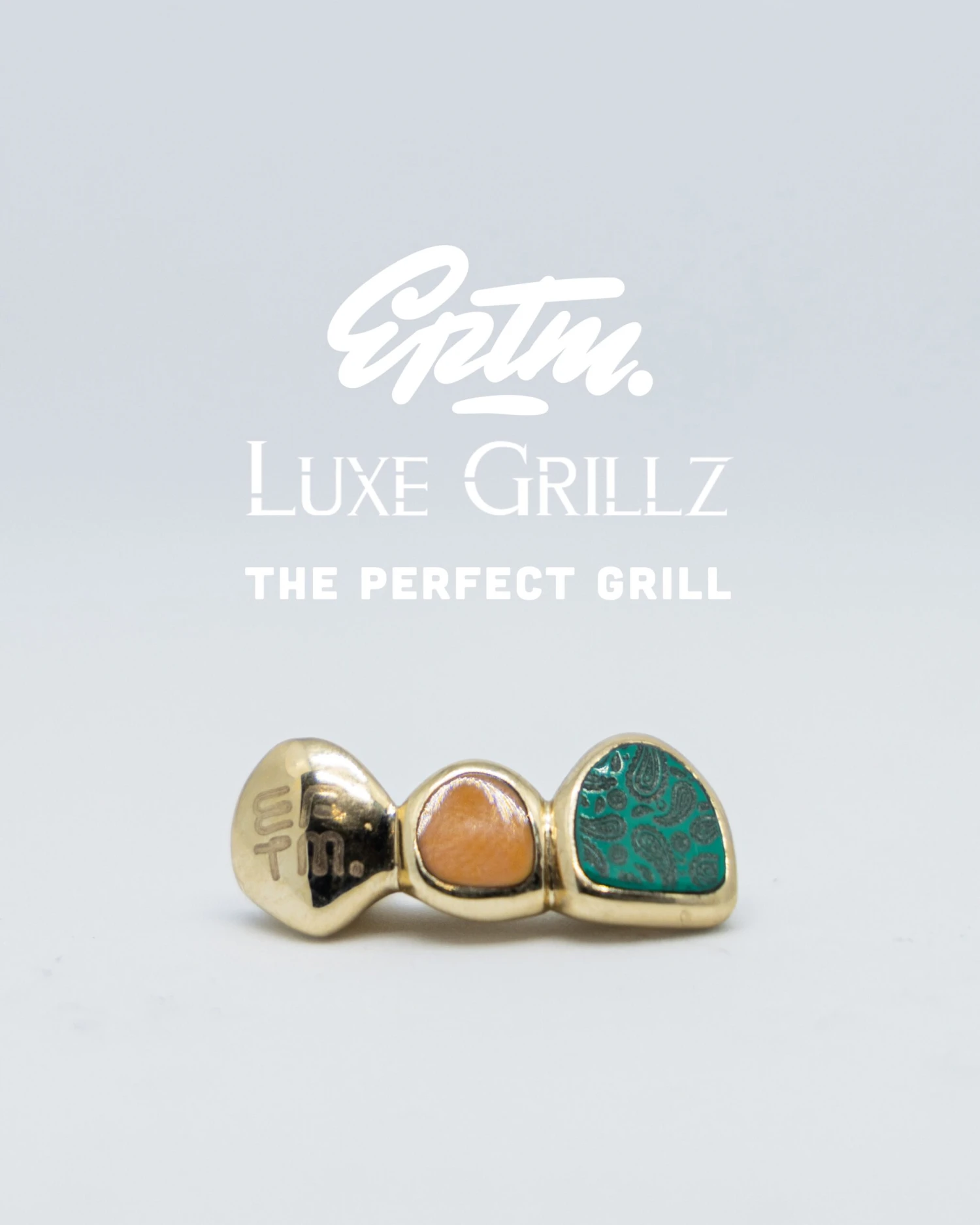 THE PERFECT GRILL 1 THE PERFECT GRILL